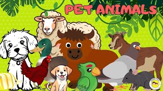 quot🐾 Adorable Pet Names for Kids 🐶🐱  Animal Namesquot Lets Learn Pet Names Fun amp Easy for Kids quot [upl. by Marty429]