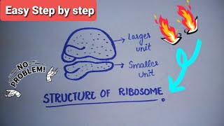 Ribosomes  Structure of Ribosomes  Easy step by step diagram of Ribosomes  Class 9th  Biology [upl. by Sset]