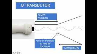 Principios Fisicos na Ecocardiografia Physics in Echocardiography [upl. by Hesther]