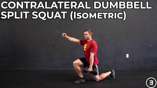 Contralateral Dumbbell Split Squat Isometric [upl. by Docilu]