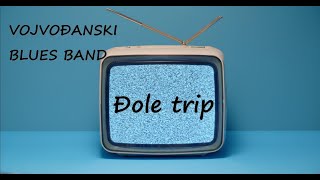 Vojvođanski Blues Band  Đole trip Official lyric video [upl. by Lamdin]