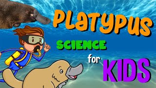 Platypus  Science for Kids [upl. by Ready418]