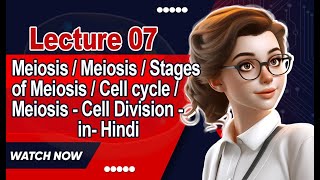 Meiosis  Meiosis  Stages of Meiosis  Cell cycle  Meiosis  Cell Division  in Hindi  Lecture 7 [upl. by Jarrad979]