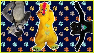 Wearing And Comparing 3 Different Styles Of Fursuits [upl. by Adnorahs]