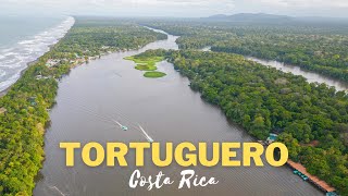 WHAT TO DO IN Tortuguero National Park Costa Rica Wildlife travel vlog 4K [upl. by Ddart]