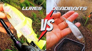 LURES VS DEADBAITS  What will win  Pike fishing [upl. by Gradeigh]