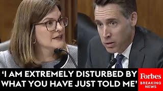 WATCH Josh Hawley Stunned By Answer From Federal Energy Regulatory Commissioner On Speech To Donors [upl. by Raji]