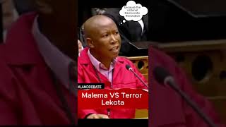 Julius Malema VS Terror Lekota mzansirealtalk [upl. by Gnilyam309]