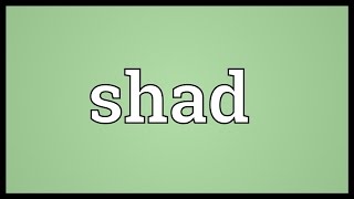 Shad Meaning [upl. by Westmoreland]