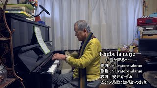 ～Tombe la neige～「雪が降る」（テノール歌手＆声楽家：知花かつあき） [upl. by Goggin]