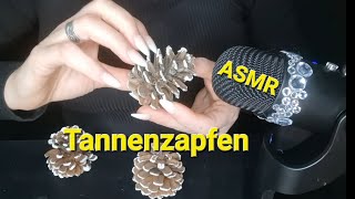 ASMR Pinecone  Tannenzapfentingling on the skin  scratchingcrackle to Relaxation no talking [upl. by Airaet728]