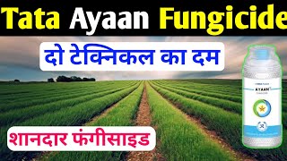 Tata Ayaan Fungicide ।। Ayaan Fungicide ।। Kresoximmethyl 40 ।। Hexaconazole 8 WG ।। Ayaan [upl. by Arlina]