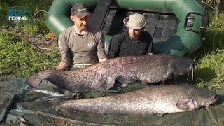 Pesca al siluro nei canali del Polesine  Star Fishing TV [upl. by Nahtanha]