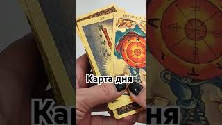 гаданиеонлайн таро tarot гадание fortune магия [upl. by Gilpin]