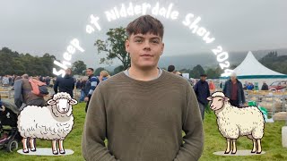 Sheep at Nidderdale Show 2024 🐑🖤🐏🤍 [upl. by Palgrave]