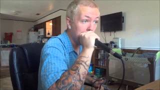 DISTURBED  LIBERATE  VOCAL COVER BY MITCH HOWIE OF THE DIALECTIC [upl. by Leasim403]