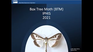 BTM 2021 Trapping Surveys  Using IPHIS Data Collector IDC Box Tree Moth [upl. by Ekaterina]