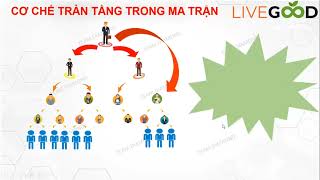 VIDEO CHÍNH SÁCH TRẢ THƯỞNG ĐẦY ĐỦ NHẤT CỦA LIVEGOOD TEAM DIAMOND [upl. by Town]