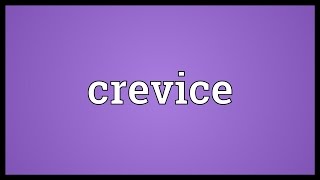 Crevice Meaning [upl. by Nayhr]