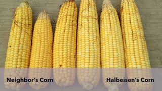 Growers Success Story Halbeisen Farm [upl. by Rhines]