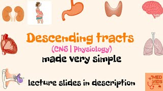 Descending tracts  Pyramidal and Extrapyramidal tracts  Med Vids made simple [upl. by Cavill198]