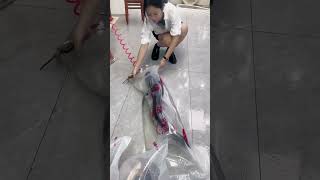 Process of Packing Fresh Fish in a Sealed Bag [upl. by Vivie]