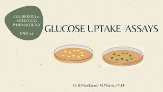 Glucose uptake assay  CBMP  Part 44 [upl. by Euqinommod171]