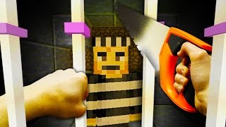 REALISTIC MINECRAFT  STEVE BREAKS INTO PRISON [upl. by Irneh757]