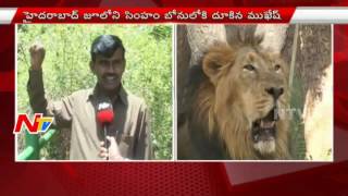 Special Report On Lions Lounge Security Measures In Hyderabad Zoo Park  NTV [upl. by So176]