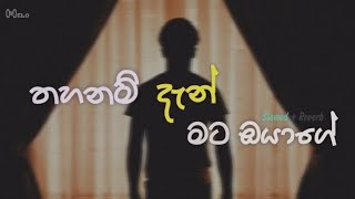 Thahanam Den  තහනම් දැන්  Slowed amp Reverb  Viraj Perera  Api aye hamuwanne 🎶 [upl. by Joella58]