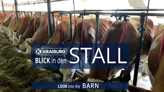 Kombihaltung – Blick in den Stall [upl. by Eednak]