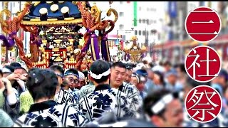 Sanja Matsuri Festival 2017  Asakusa Tokyo ᴴᴰ ● 平成29年 三社祭 2017 東京 [upl. by Aloivaf]