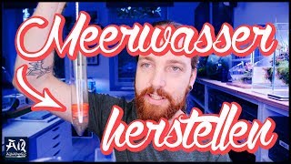 Meerwasser richtig herstellen für Aquarium  AquaOwner [upl. by Antonina797]