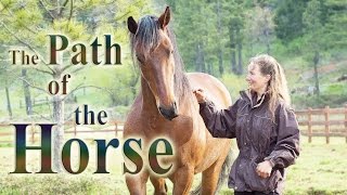 The Path of the Horse  Full Length documentary [upl. by Selemas40]