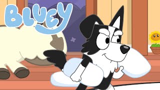 Bluey Fan Animated Short 2  Mackenzie  Pillow Fight [upl. by Ycul138]