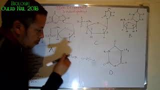 TD De Génétique 01 Le Matériel Géntique part 01  السلسلة الأولى من الوراثة المواد الوراثية [upl. by Anhavas]