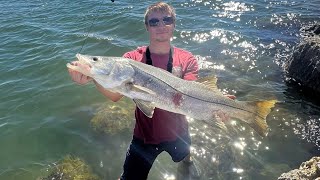 GIANT Snook and Shark Fishing on Sanibel Island FL [upl. by Babs163]