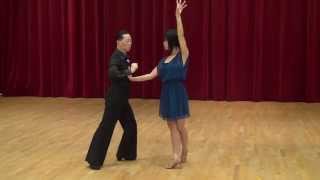 Gold Star Samba Dance Lesson [upl. by Annaiel]