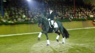 wwwreitschulesandbrinkde Fürstenball Stallion Show Schockemöhle 2011 [upl. by Gordie]