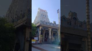 Arulmigu Sri Varadharaja Perumal Temple Nattapettai Tamil Nadu  eastgodavariabbayi hindutemple [upl. by Howlyn]