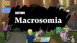 Macrosomia Overview Part 1  Sketchy Medical [upl. by Mace]