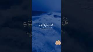 Quran recitationgoosebumps quranrecitation goosebumps muslim recitation [upl. by Niamert916]