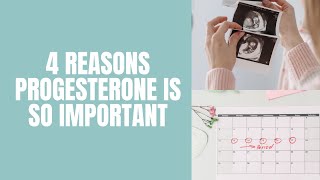 4 Reasons Progesterone is so Important  Cycle Syncing  Balanced Bombshells [upl. by Tacye]