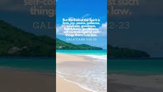 Galatians 52223 Fruits of the Spirit dailybibleverse love peace shorts [upl. by Leirol]