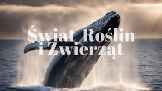 97 Świat Roślin i Zwierząt [upl. by Lj]