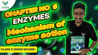 Mechanism of enzyme action Class 9 Chapter 6 Biology shaheencoachingcenter sindhboard [upl. by Ythomit]