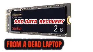 How To Recover SSD HDD Data From A Dead Laptop  Dont Waste Money on Data Recovery [upl. by Hnao]