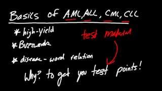 AML ALL CML CLL Buzzwords TO GET YOU POINTS [upl. by Keir974]