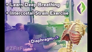 How To Diaphragm Breathing Exercises With Intercostal Muscle Strain [upl. by Roselani613]