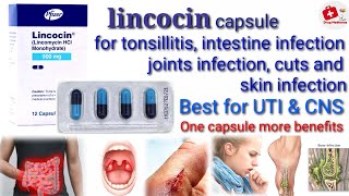 Lincocin capsule Uses Benefits Side Effects contraindication Drug Medicines [upl. by Yelrebmyk764]